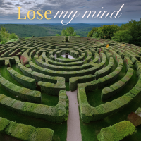 Lose My Mind - Instrumental cover